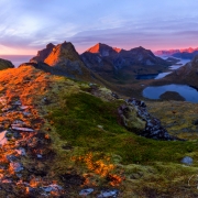 Norská divočina