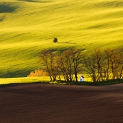 Ostrov ve vlnách