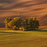 Podzimní Barborka